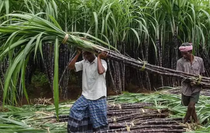 விவசாயிகளை மகிழ்வித்த வேளாண் பட்ஜெட்  :  20 முக்கிய அம்சங்கள் இதோ!
