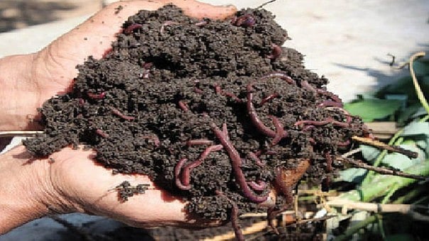 வேளாண் நிதிநிலை அறிக்கை தாக்கல் : விவசாயிகளுக்கு மகிழ்ச்சியான அதிரடி அறிவிப்புகள் வெளியீடு!