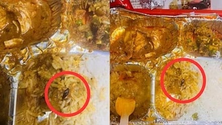 வந்தே பாரத் ரயிலில் பரிமாறப்பட்ட உணவில் கரப்பான் பூச்சி : பயணி அதிர்ச்சி!