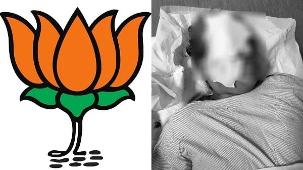 பாஜக கொடிக்கம்பம் சாய்ந்து பயங்கர விபத்து... படுகாயத்துடன் மருத்துவமனையில் அனுமதிக்கப்பட்ட பெண் !