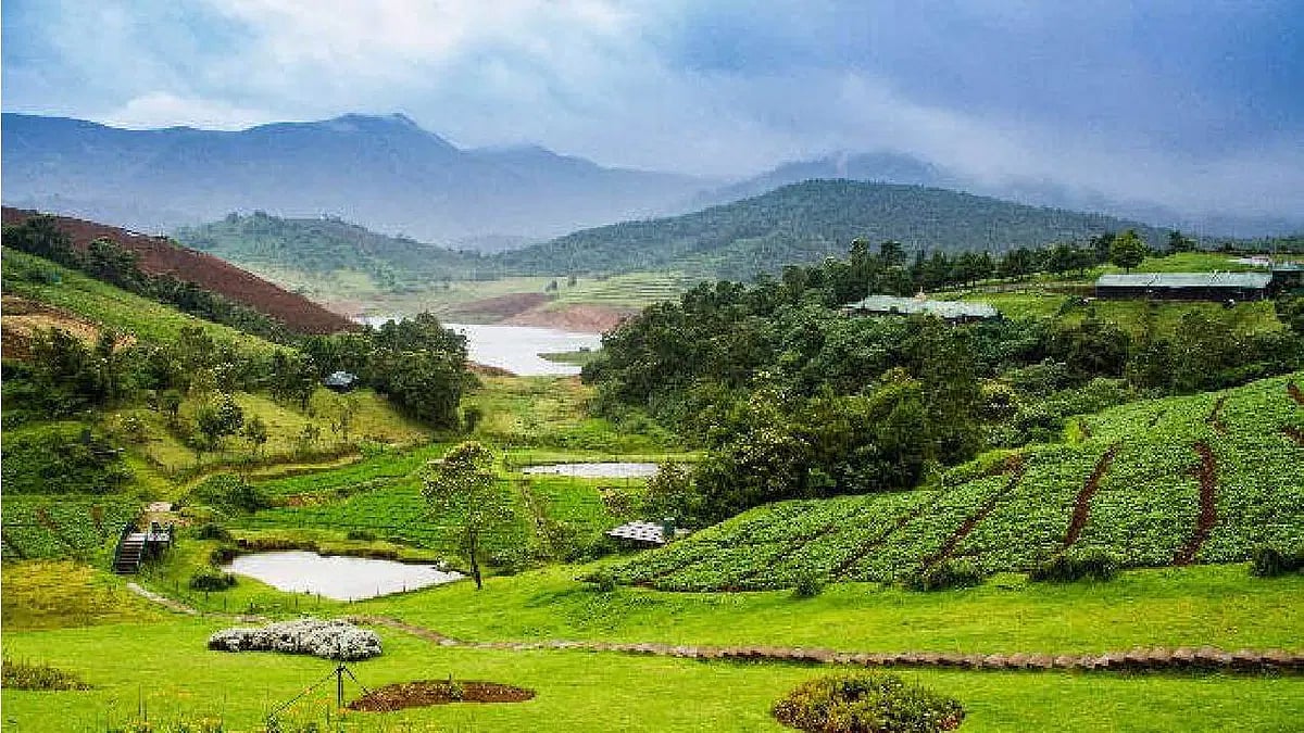 73 ஆண்டுகளில் இல்லாத வெப்பம் : ஊட்டிக்கே இந்த நிலையா ? - கொதிக்கும் கோடை வெப்பம் !