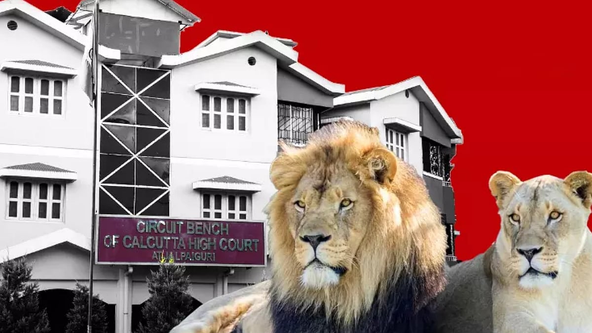 பெயர் சர்ச்சை விவகாரம் : அக்பர் - சீதா சிங்கங்களின் பெயர்களை மாற்றிய மேற்கு வங்க அரசு !