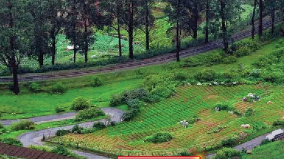 இந்த 3 நாட்கள் ஊட்டிக்கு செல்ல வேண்டாம் : சுற்றுலா பயணிகளுக்கான முக்கிய தகவல் இதோ!