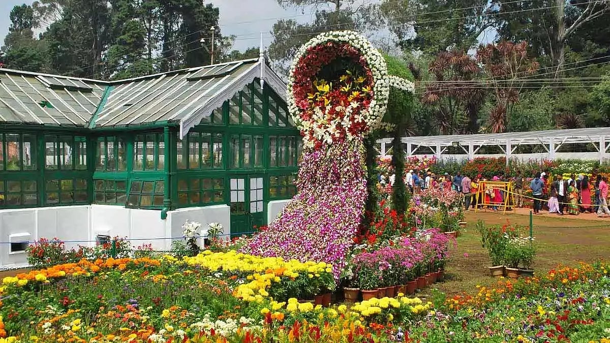 பூத்துக்குலுங்கும் பூக்கள்: குவிந்த சுற்றுலா பயணிகள் - 2.3 லட்சம் பேர் பார்வையிட்ட ஊட்டி மலர் கண்காட்சி!