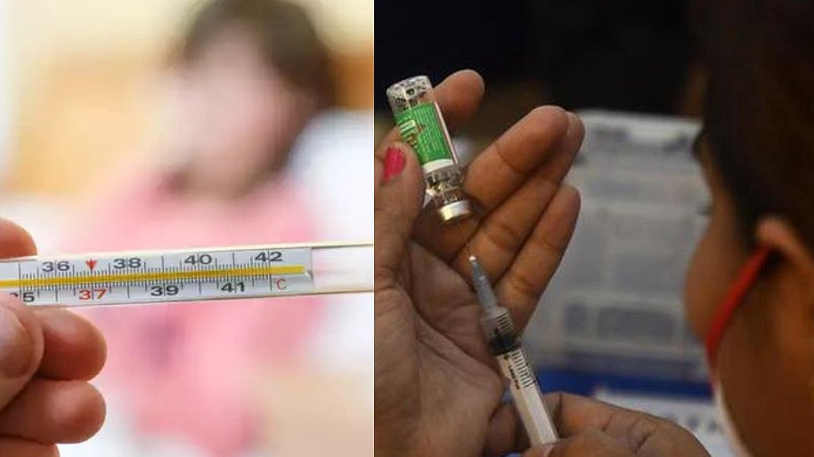 மஞ்சள் காய்ச்சல் தடுப்பூசி : தமிழ்நாடு சுகாதாரத் துறையின் அறிவுறுத்தல் என்ன?