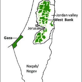 israel palestine map 