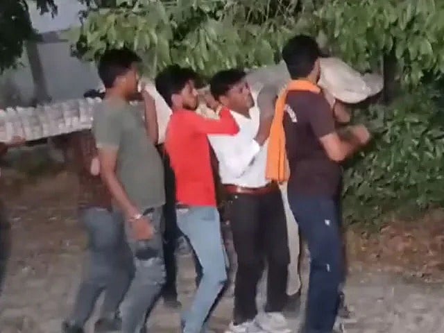 சாலையில் இருந்த கம்பியை தாண்ட முயற்சித்த 10 அடி உயர ராட்சத முதலை...பதறிய மக்கள்... பின்னர் நடந்தது என்ன?