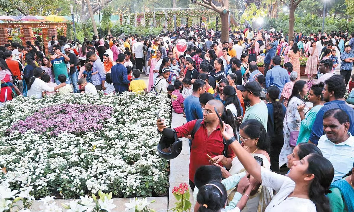 பூத்துக்குலுங்கும் பூக்கள்: குவிந்த சுற்றுலா பயணிகள் - 2.3 லட்சம் பேர் பார்வையிட்ட ஊட்டி மலர் கண்காட்சி!