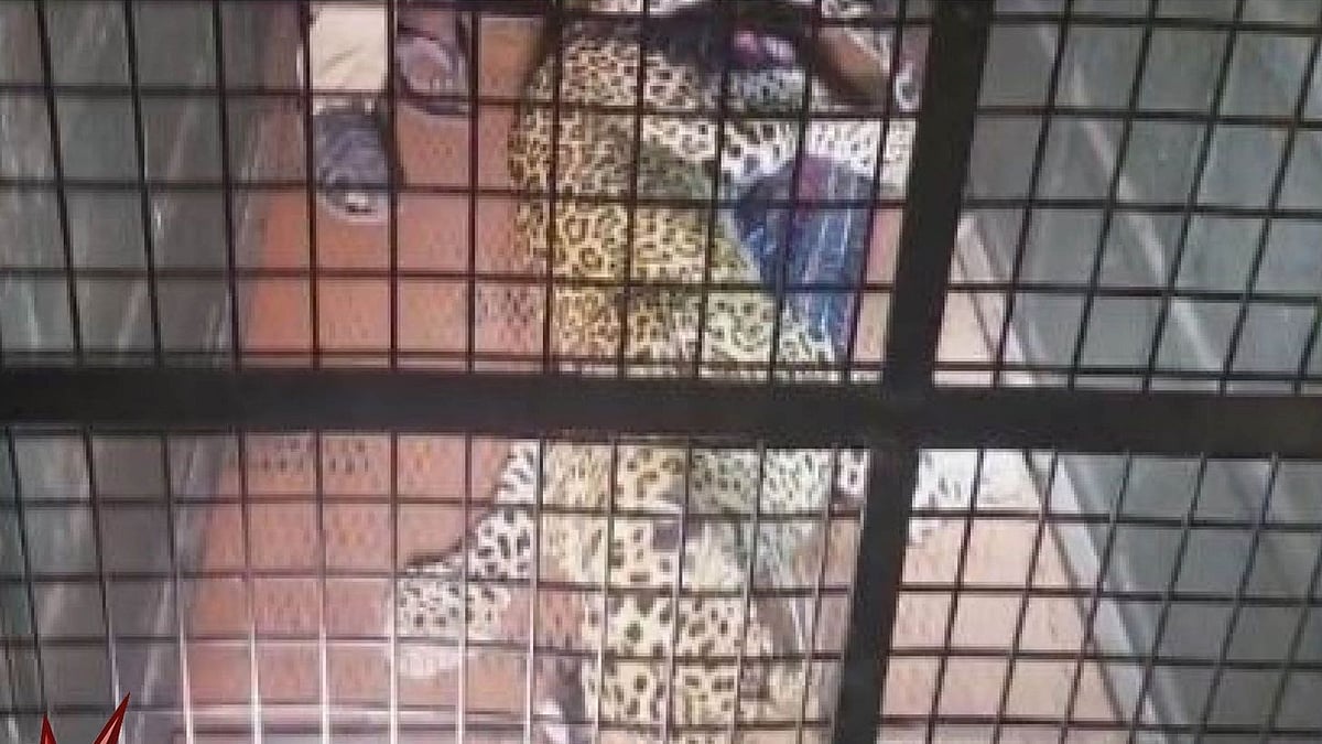 ஊருக்குள் புகுந்த சிறுத்தை : காரில் மாட்டிக் கொண்ட 5 பேர் - வனத்துறையின் அதிரடி ஆக்சன்!