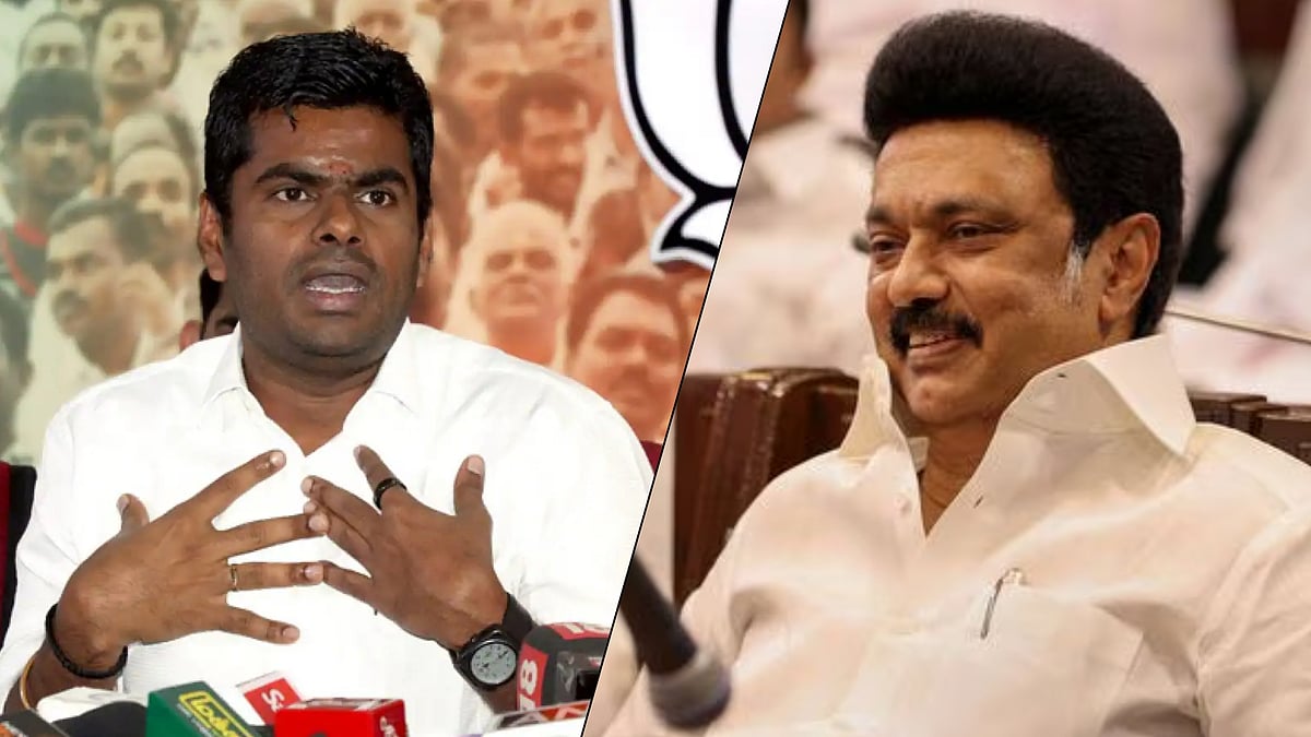 தமிழ்நாட்டில் மீண்டும் மலராத தாமரை... 40-லும் மாஸ் காட்டிய முதலமைச்சரின் உடன்பிறப்புகள் !