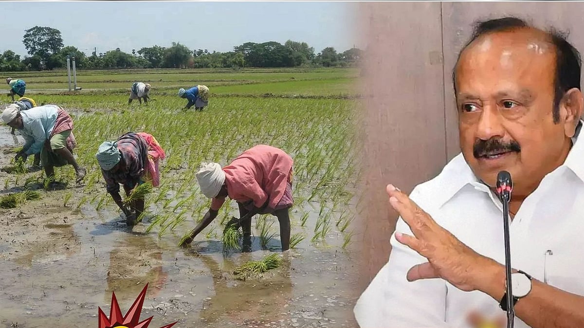 விவசாயிகளுக்கு மகிழ்ச்சியான செய்தி : ரூ.78.67 கோடியில் டெல்டா குறுவை சாகுபடி சிறப்பு தொகுப்பு!