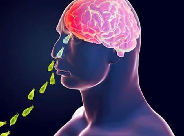 மூளையை உண்ணும் அமீபா... குளத்தில் குளித்த சிறுவனுக்கு நேர்ந்த சோகம் : கேரளாவில் பரபரப்பு ! 