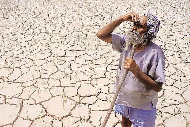 6 மாதத்தில் 557 விவசாயிகள் தற்கொலை! : மகாராஷ்டிர மாநில அரசு வெளியிட்ட அதிர்ச்சி தகவல்!