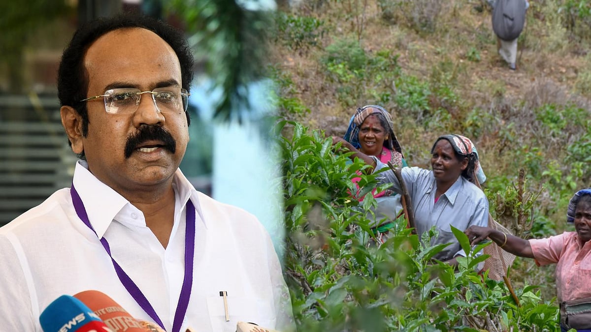 “மாஞ்சோலை தொழிலாளர்களுக்கு அனைத்து உதவிகளும் செய்து தரப்படும்” - அமைச்சர் தங்கம் தென்னரசு உறுதி!