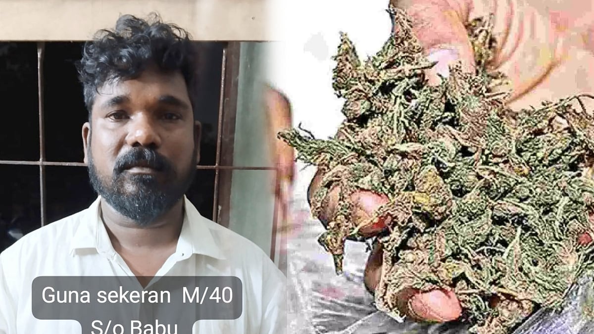 கஞ்சா வேட்டை : வீட்டில் பதுக்கி வைத்து விற்பனை செய்து வந்த பாஜக நிர்வாகி - அதிரடியாக கைது செய்த போலீஸ்!