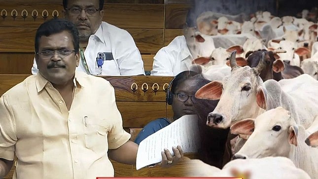 ”மாட்டிறைச்சியில் ரூ.50,000 கோடி வருமானம் ஈட்டும் ஒன்றிய அரசு” : மக்களவையில் தங்க தமிழ்செல்வன் MP பேச்சு!