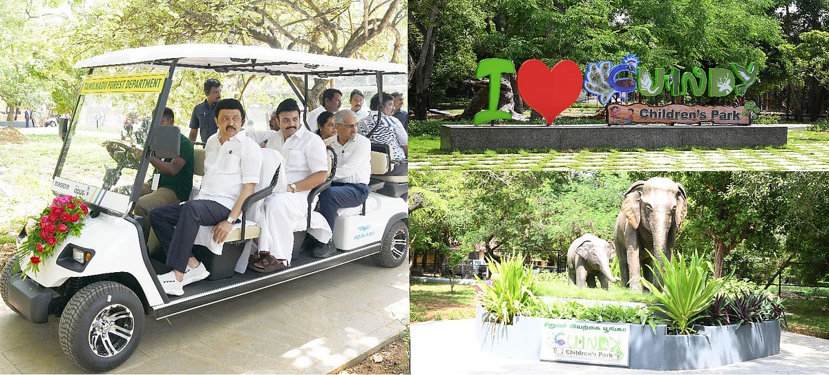 தமிழ்நாடு அரசின் முயற்சியால் உயர்ந்த யானைகளின் எண்ணிக்கை : இயற்கையை பாதுகாக்க முன்நிற்கும் முதலமைச்சர் !