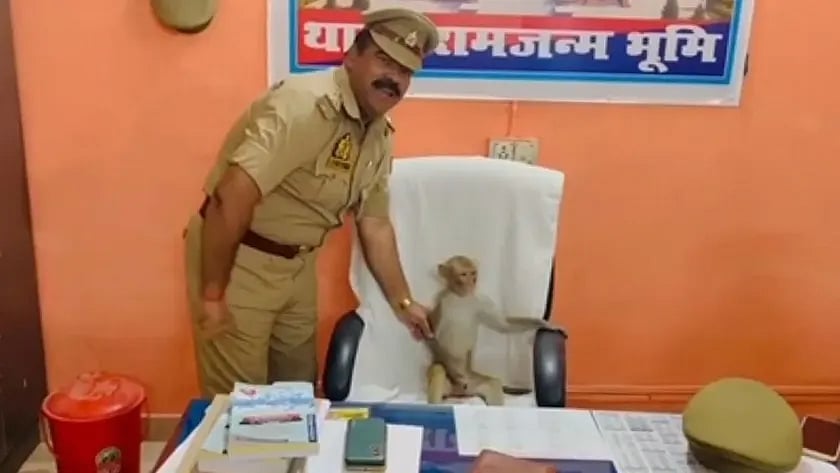 அதிகாரியின் சேரில் அமர்ந்த குரங்கு... சல்யூட் அடித்து மரியாதை செய்த உ.பி. அயோத்தி போலீஸ் - வைரல்!