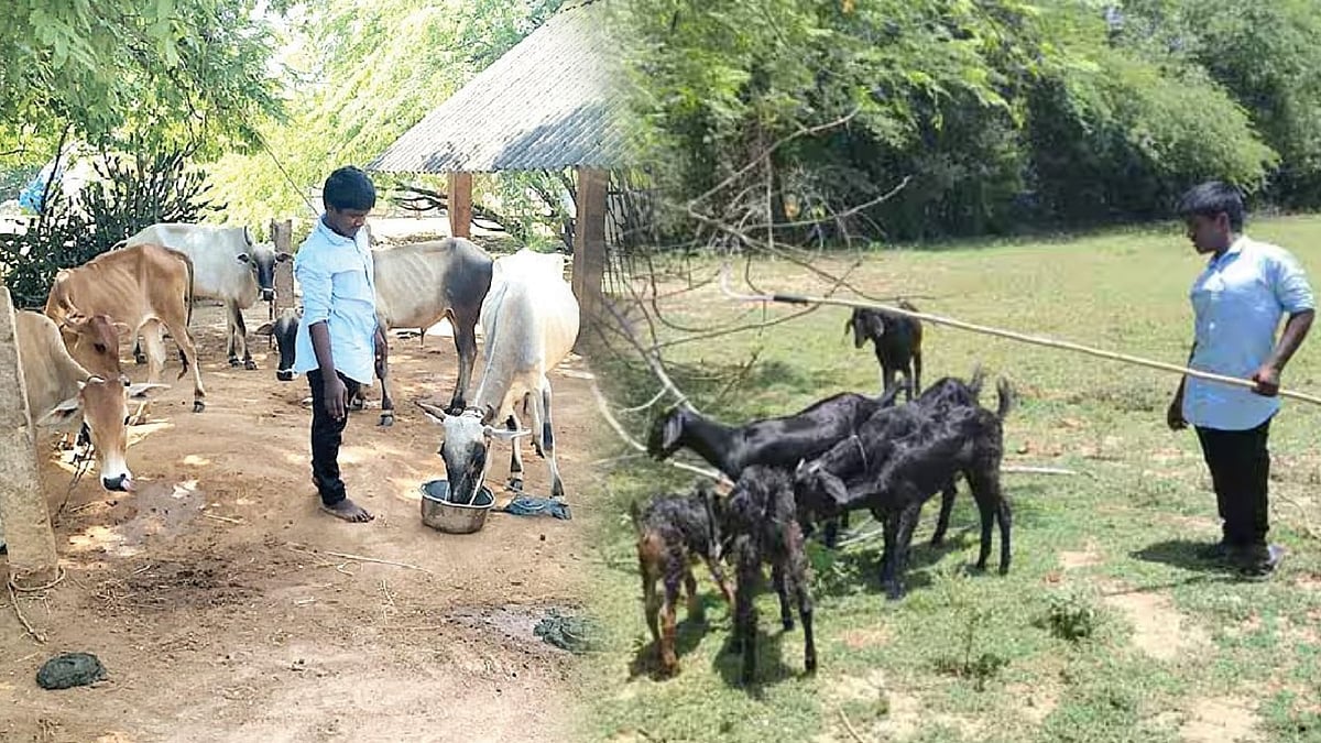 மருத்துவராகும் மாற்றுத்திறனாளி மாணவர் - நீட் தடையை தாண்டிய கனவை நிறைவேற்றிய திராவிட மாடல் அரசு!
