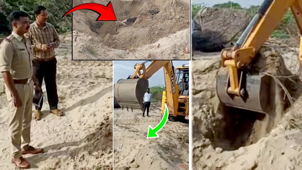 புதுச்சேரியில் ஒட்டகம் உயிரிழந்த விவகாரம் : தனியார் நிறுவனம் மீது வழக்கு - நடந்தது என்ன?