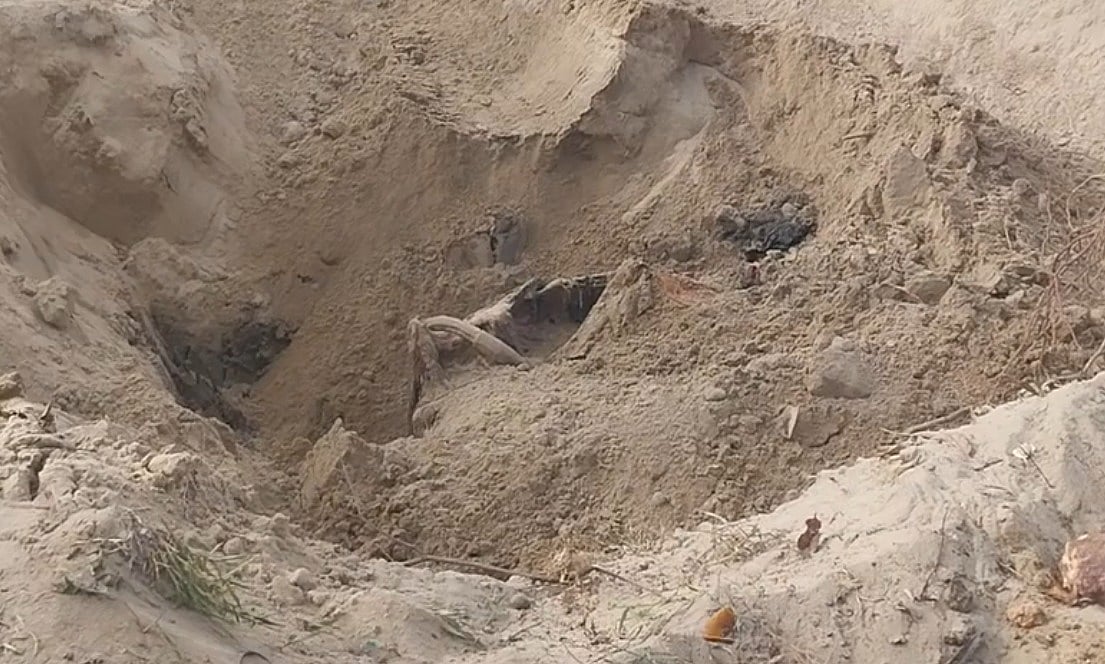 புதுச்சேரியில் ஒட்டகம் உயிரிழந்த விவகாரம் : தனியார் நிறுவனம் மீது வழக்கு - நடந்தது என்ன?