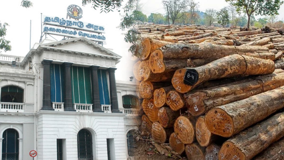 சந்தன மரங்களுக்கான விலை நிர்ணயம்! : அரசாணை வெளியிட்டது தமிழ்நாடு அரசு!