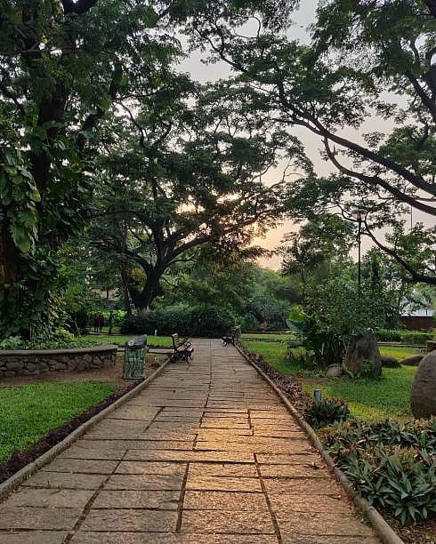 சென்னை கிண்டியில் 118 ஏக்கர் பரப்பளவில் பூங்கா, பசுமைவெளி அமைக்கப்படும்!: தமிழ்நாடு அரசு அரசாணை வெளியீடு!