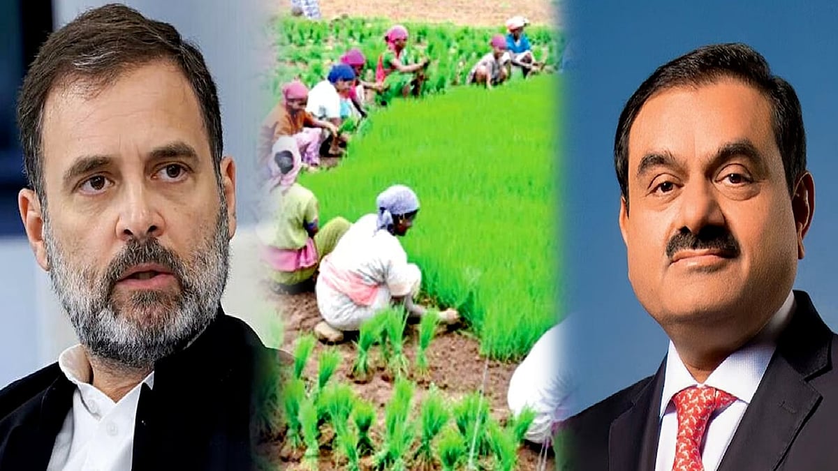 “அதானி வங்கிக் கணக்கில் பணம் வெள்ளம் போல் பெருக்கெடுத்து வருகிறது”: எதிர்க்கட்சித் தலைவர் ராகுல் காந்தி! 