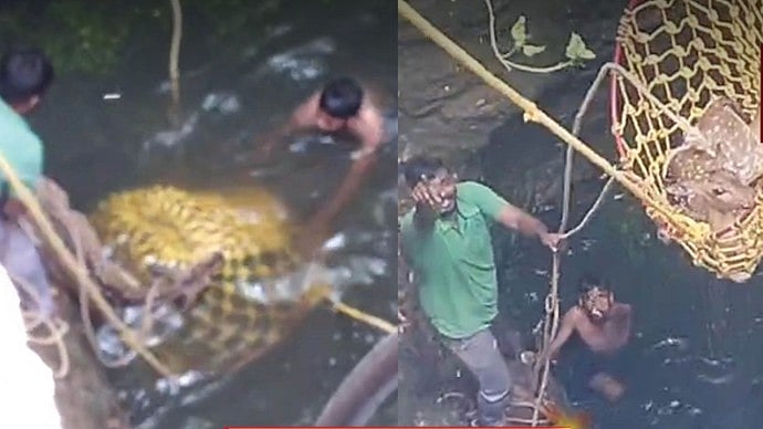 கிணற்றில் விழுந்த மான் : துணிச்சலுடன் மீட்ட 9 ஆம் வகுப்பு பள்ளி மாணவன்!