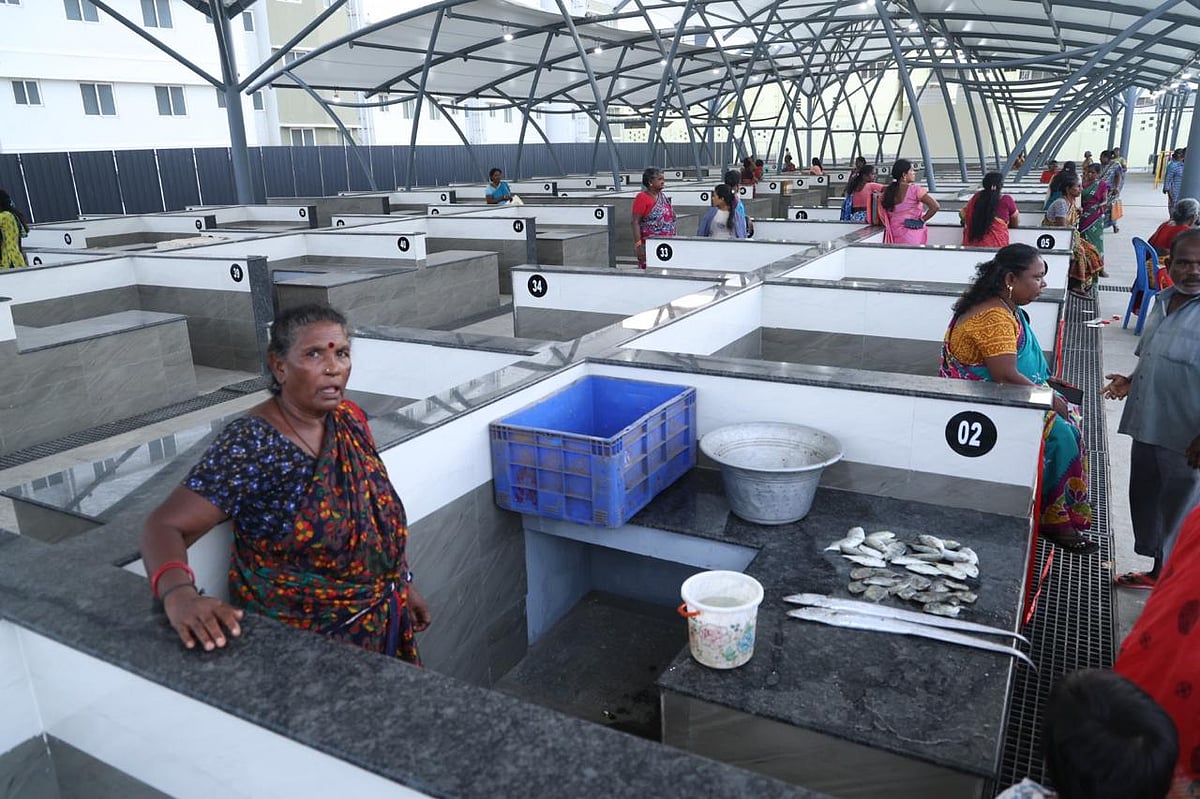 சென்னை பட்டினப்பாக்கம் நவீன மீன் அங்காடி செயல்பாட்டுக்கு வந்தது!