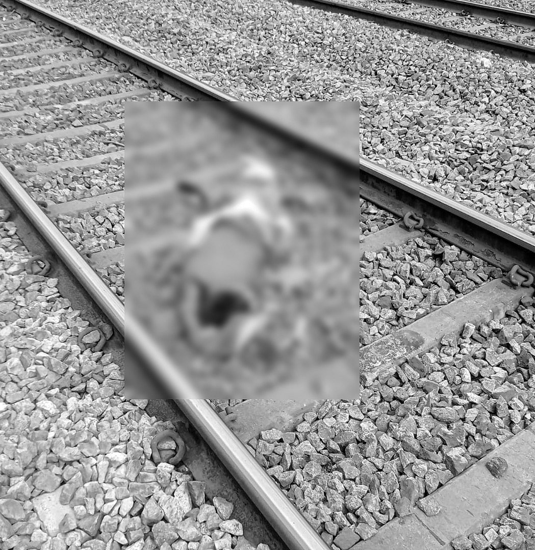 படிக்கட்டில் அமர்ந்து பயணம்? : ஓடும் இரயிலில் இருந்து தவறி விழுந்த 17 வயது இளைஞர்... வேலூரில் சோகம் !