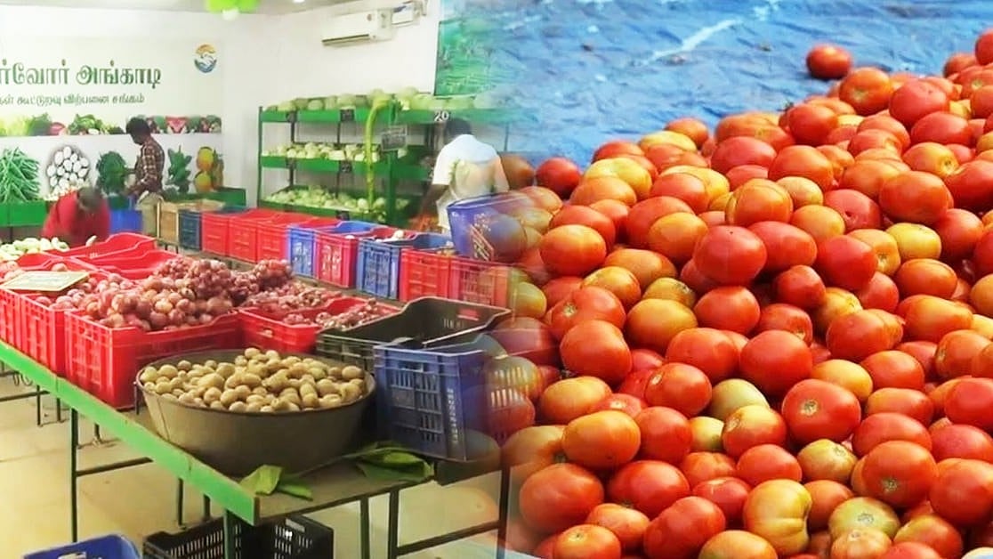 தமிழ்நாடு அரசின் பண்ணை பசுமை அங்காடி : பாதி விலையில் தக்காளி விற்பனை! 