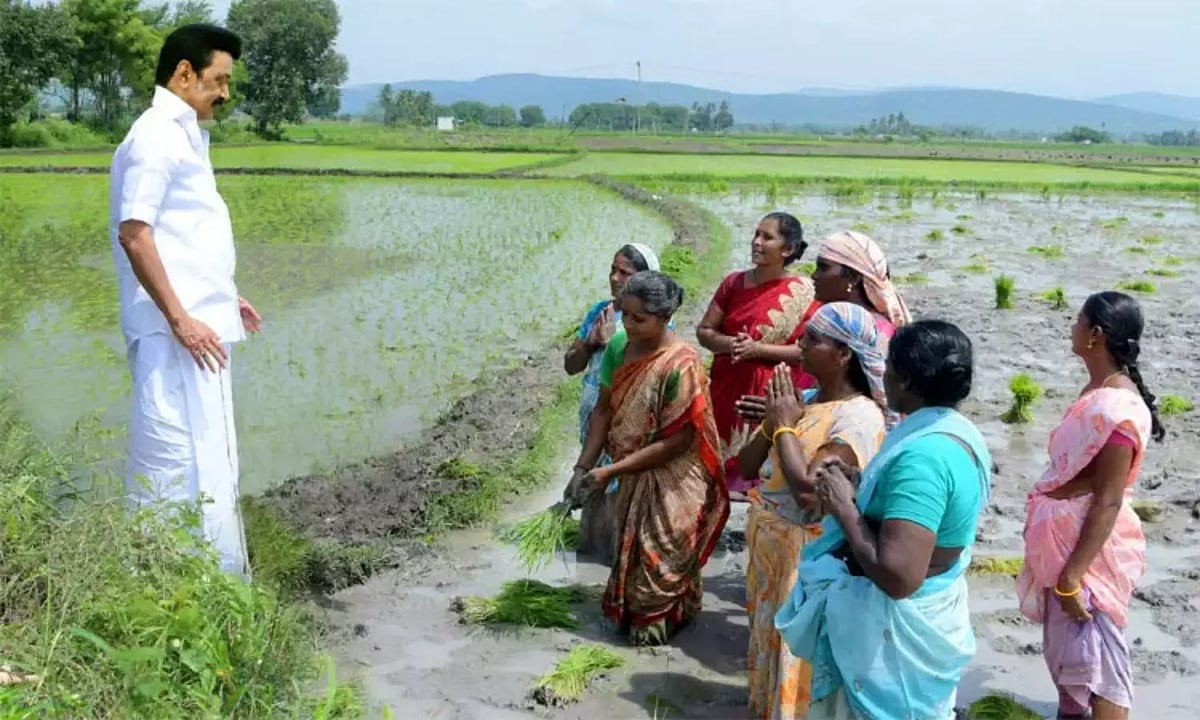 சீர்மிகு திட்டங்களால் வேளாண் துறையில் தமிழ்நாடு இந்தியாவிலேயே முன்னணி! : தமிழ்நாடு அரசு புகழாரம்!