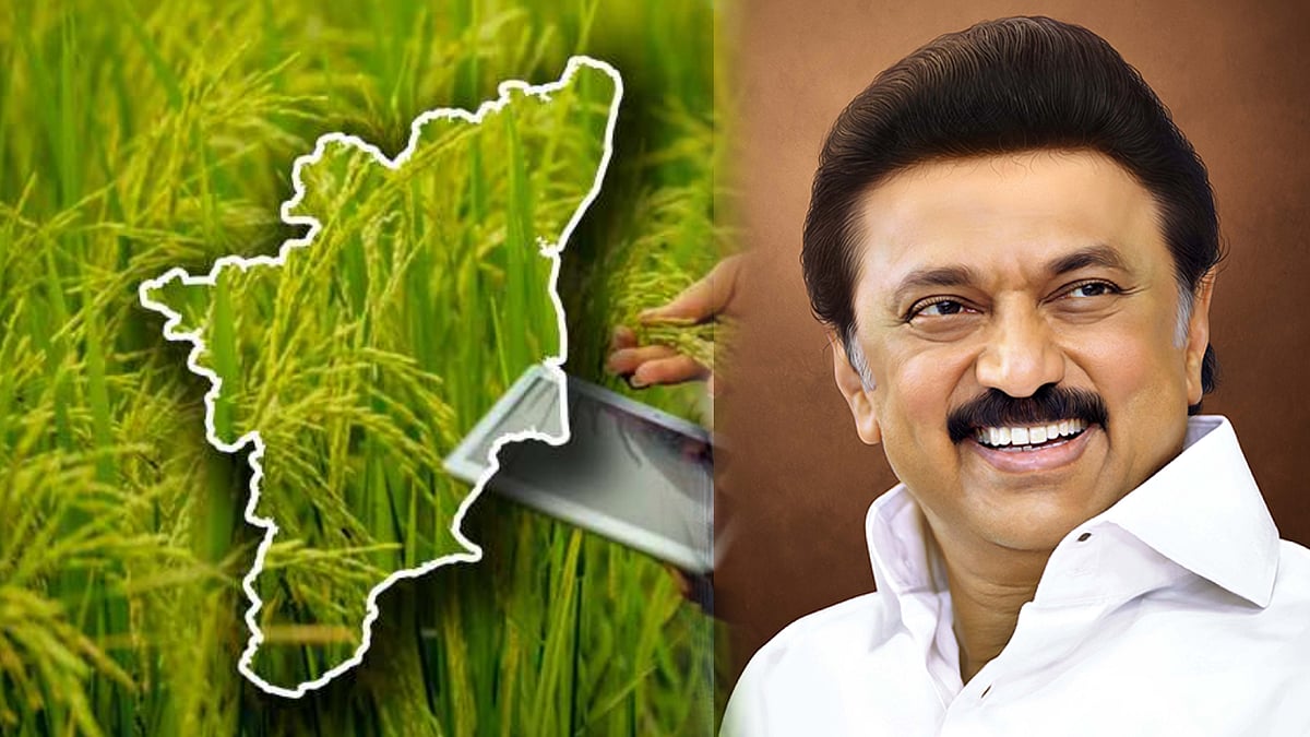 சீர்மிகு திட்டங்களால் வேளாண் துறையில் தமிழ்நாடு இந்தியாவிலேயே முன்னணி! : தமிழ்நாடு அரசு புகழாரம்!