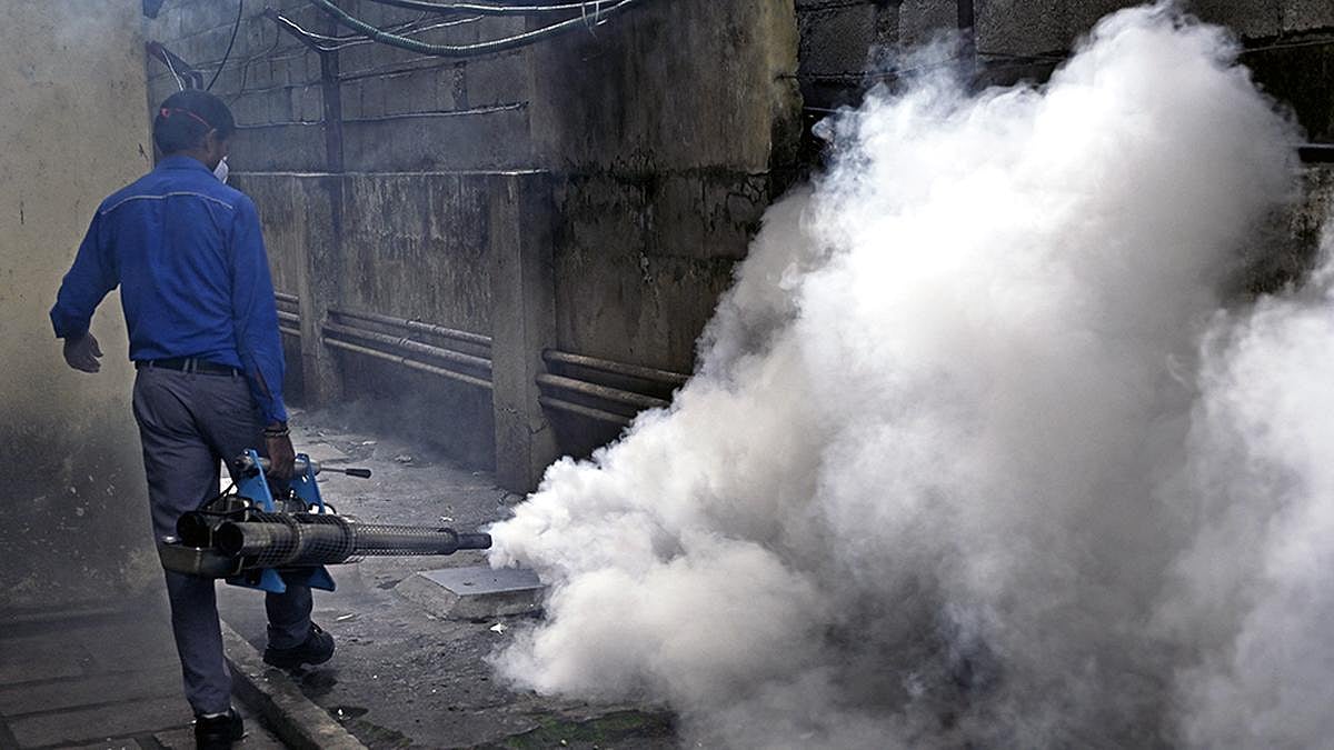 தமிழ்நாட்டில் டெங்கு கொசு உற்பத்தியை தடுக்க வேண்டும்! :  சுகாதாரத்துறை உத்தரவு!