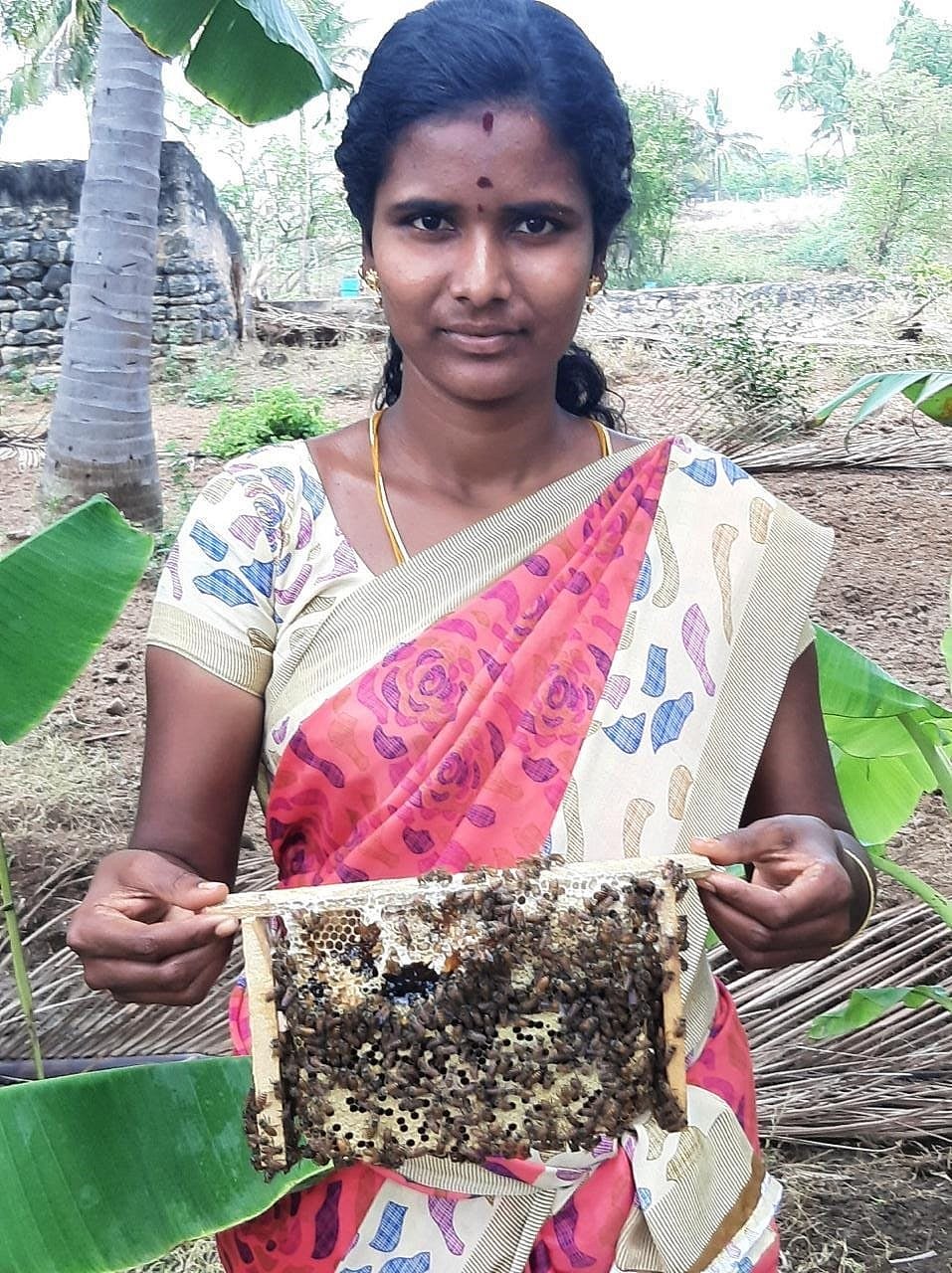 தேனீ வளர்ப்புத் தொகுப்பு : மகளிர் சுய உதவிக் குழுக்களுக்கு ரூ.2.22 கோடி சுழல் நிதி !