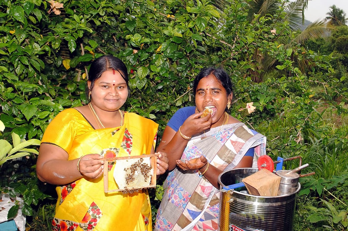 தேனீ வளர்ப்புத் தொகுப்பு : மகளிர் சுய உதவிக் குழுக்களுக்கு ரூ.2.22 கோடி சுழல் நிதி !