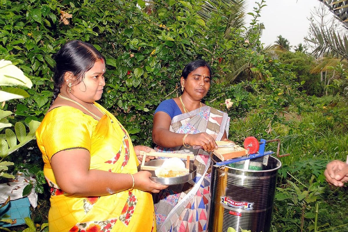 தேனீ வளர்ப்புத் தொகுப்பு : மகளிர் சுய உதவிக் குழுக்களுக்கு ரூ.2.22 கோடி சுழல் நிதி !
