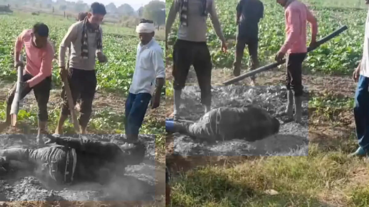 கிணற்றில் தண்ணீர் எடுத்ததால் ஆத்திரம்.. அடித்தே கொல்லப்பட்ட தலித் இளைஞர் -பாஜக ஆளும் மாநிலத்தில் கொடூரம்!