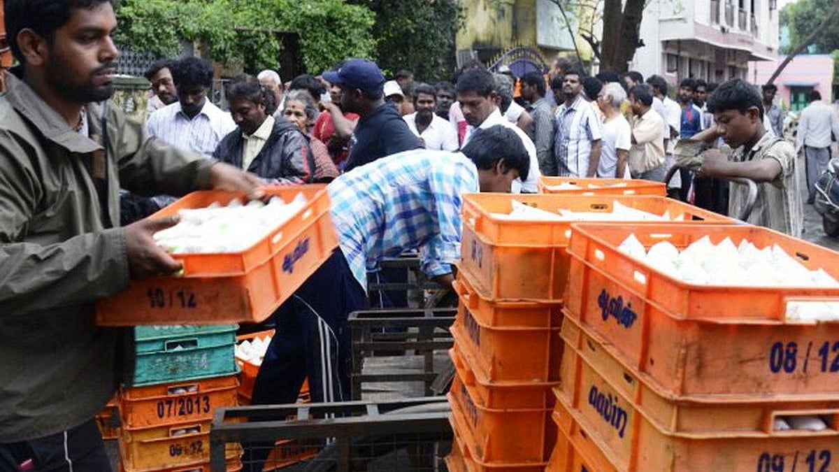 ஃபெஞ்சல் புயல் : தடையின்றி பால் விநியோகம் செய்த ஆவின் நிர்வாகம்... 15 இலட்சம் லிட்டர் பால் விற்பனை !