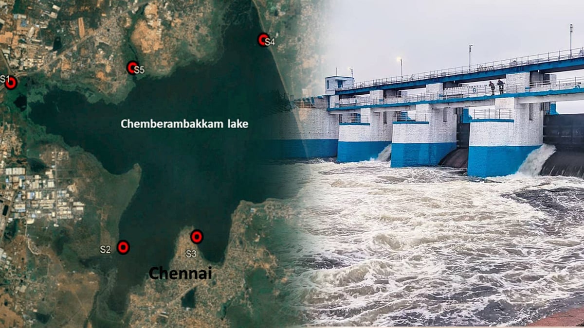 செம்பரம்பாக்கம் ஏரியில் 1000 கன அடி நீர் திறப்பு: அடையாறை ஒட்டியுள்ள பகுதிகளுக்கு வெள்ள அபாய எச்சரிக்கை !