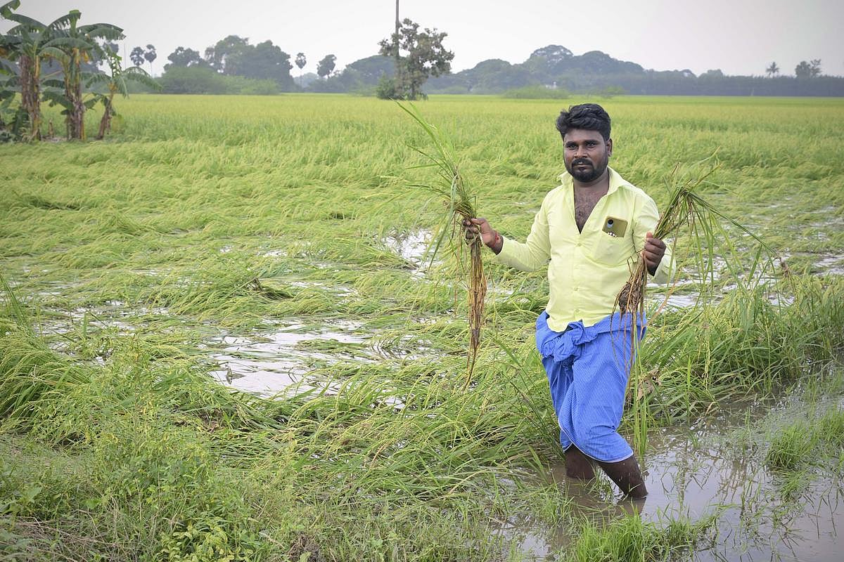விவசாயிகளுக்கு நிவாரணத் தொகை... "எந்த விவசாயியும் விடுபடக்கூடாது" - அதிகாரிகளுக்கு அமைச்சர் அறிவுறுத்தல்!