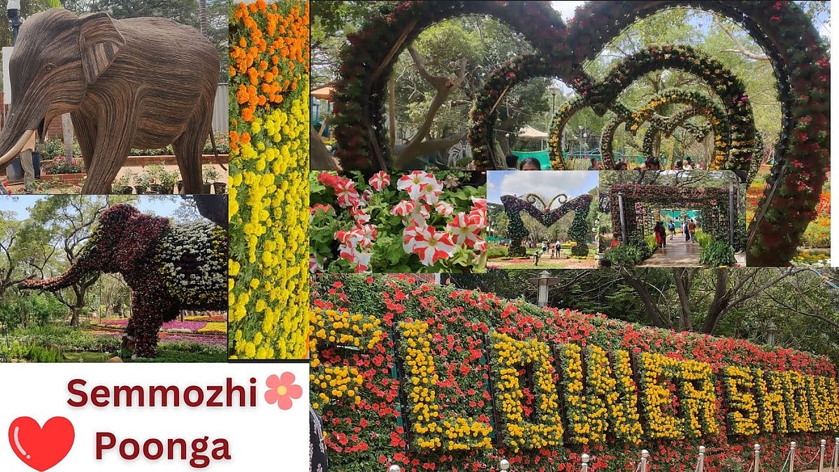 4-வது முறை... சென்னையில் மீண்டும் வருகிறது மலர் கண்காட்சி... எங்கு, எப்போது ? - விவரம் !