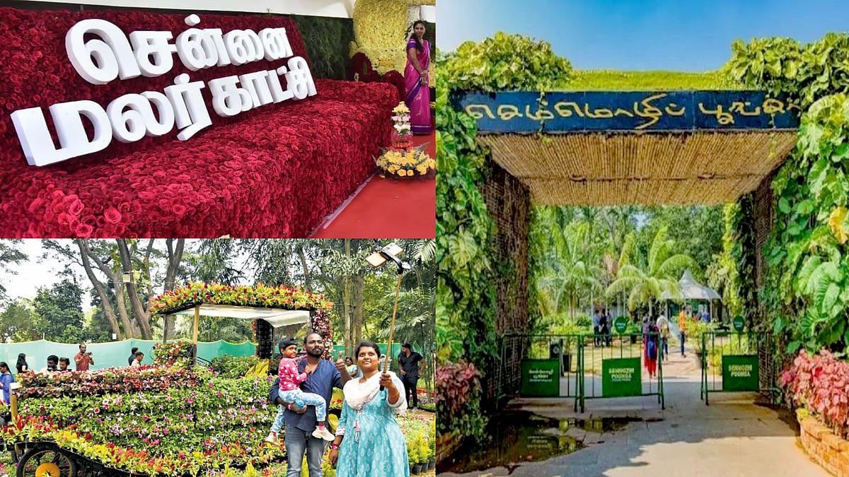 4-வது முறை... சென்னையில் மீண்டும் வருகிறது மலர் கண்காட்சி... எங்கு, எப்போது ? - விவரம் !