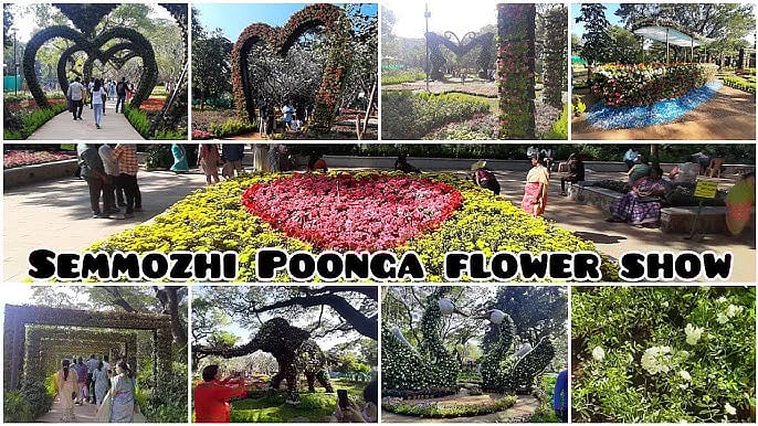 4-வது முறை... சென்னையில் மீண்டும் வருகிறது மலர் கண்காட்சி... எங்கு, எப்போது ? - விவரம் !