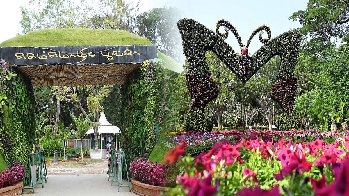 சென்னை செம்மொழி பூங்காவில் மலர் கண்காட்சி : பொதுமக்கள் உற்சாக வரவேற்பு !