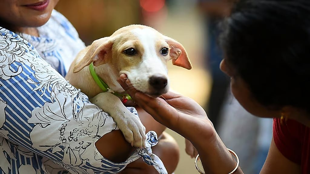 குடியிருப்போர் சங்கத்தால் செல்லப் பிராணி வளர்ப்புக்கு தடை விதிக்க முடியுமா? நீதிமன்றத்தின் தீர்ப்பு என்ன?