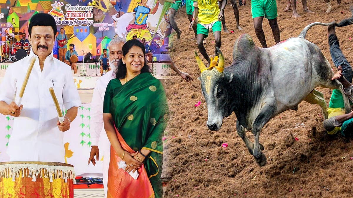 பொங்கல் 2025 : ஜல்லிக்கட்டு முதல் சென்னை சங்கமம்-நம்ம ஊரு திருவிழா வரை... விழாக்கோலம் பூண்ட தமிழ்நாடு!