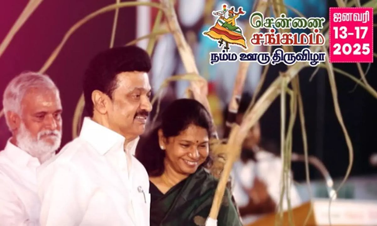 பொங்கல் 2025 : ஜல்லிக்கட்டு முதல் சென்னை சங்கமம்-நம்ம ஊரு திருவிழா வரை... விழாக்கோலம் பூண்ட தமிழ்நாடு!