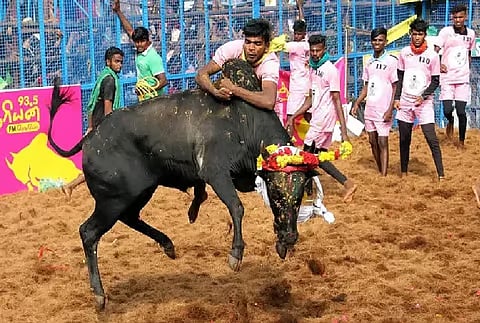 அவனியாபுரம் ஜல்லிக்கட்டு : திருப்பரங்குன்றம் கார்த்தி முதலிடம்... முழு விவரம் உள்ளே ! 